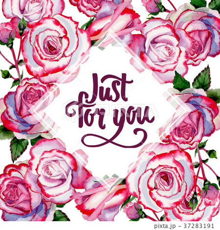 Wildflower hybrid rose flower frame in a Wildflower hybrid rose flower frame in a 37283191