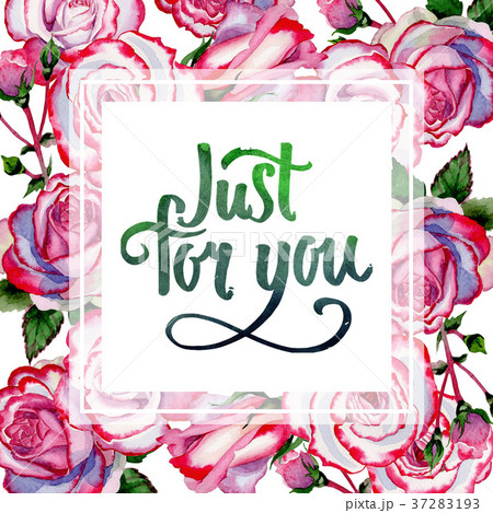 Wildflower hybrid rose flower frame in a 37283193