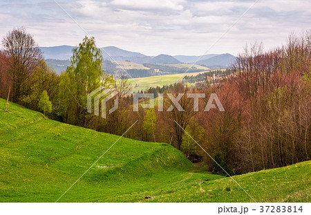 grassy hills of mountainous rural area 37283814