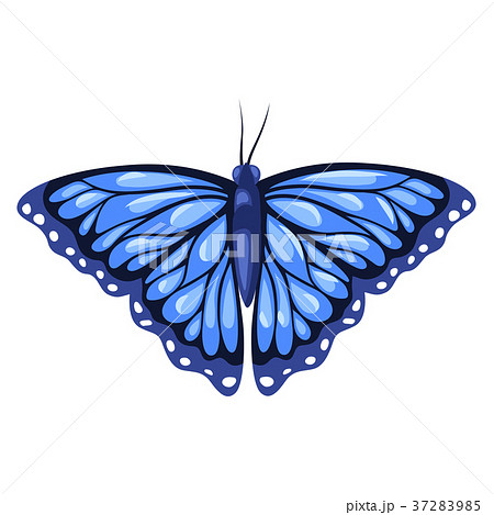 blue monarch butterfly clipart