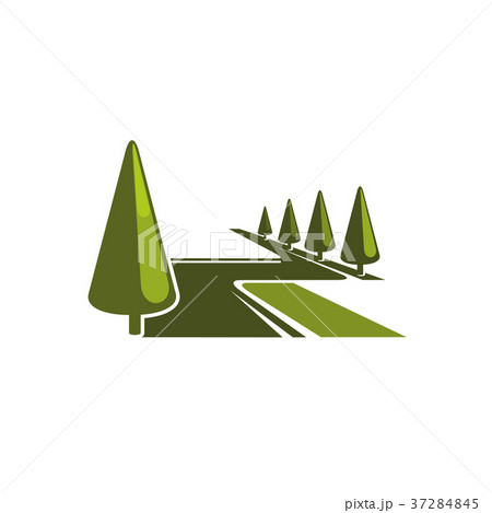 Green forest park trees vector eco iconのイラスト素材 [37284845] - PIXTA