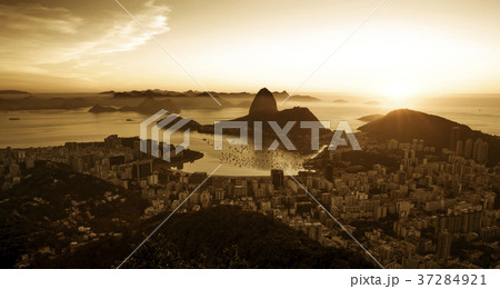 Panorama of Rio de Janeiro, Brazil 37284921