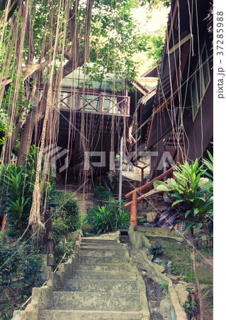 a luxurious resort in Phi Phi Island,  Thailand 37285988