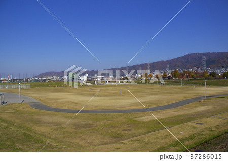 花園多目的遊水池・Bゾーン/大阪府東大阪市松原南 花園多目的遊水池・Bゾーン/大阪府東大阪市松原南 37286015