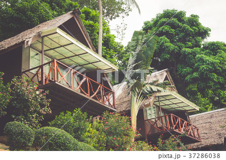 a luxurious resort in Phi Phi Island, a tropical a luxurious resort in Phi Phi Island, a tropical 37286038