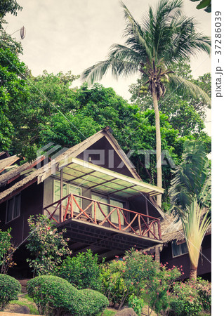 a luxurious resort in Phi Phi Island, a tropical a luxurious resort in Phi Phi Island, a tropical 37286039