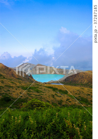 草津白根山 37287185