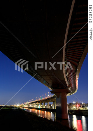 夜景 首都高速中央環状線 かつしかハープ橋 夜景 首都高速中央環状線 かつしかハープ橋 37288291
