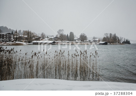 winter tegernsee bayern alps winter tegernsee bayern alps 37288304