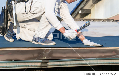 屋根工事 防水シートをハンマータッカーで貼る職人の写真素材