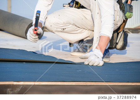 屋根工事 防水シートをハンマータッカーで貼る職人の写真素材