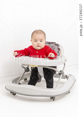 歩行器に乗った赤ちゃんの写真素材