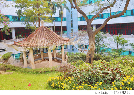 a garden at City University of Hong Kong a garden at City University of Hong Kong 37289292