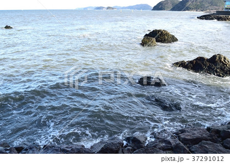 伊勢湾 伊勢湾 37291012