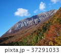 紅葉する山 37291033