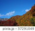 紅葉する山 37291049
