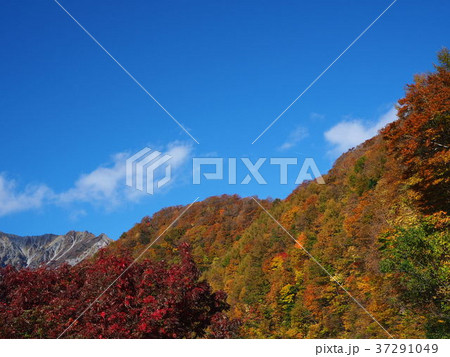 紅葉する山 37291049