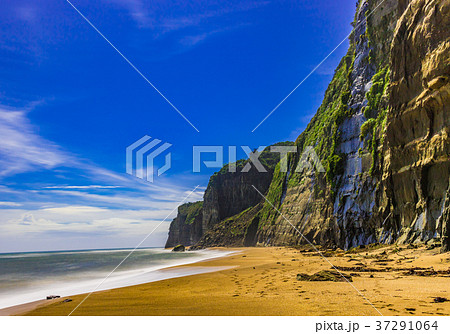 【千葉県】釣師海岸 37291064