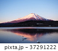 朝の富士山 37291222