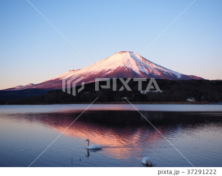 朝の富士山 37291222