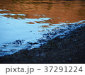霜のおりた水辺 37291224