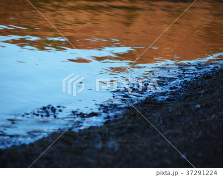 霜のおりた水辺 37291224