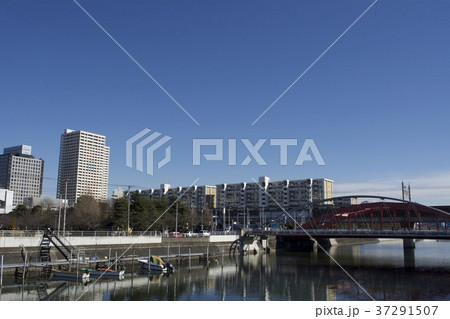 浦安市 1月 浦安市 1月 37291507