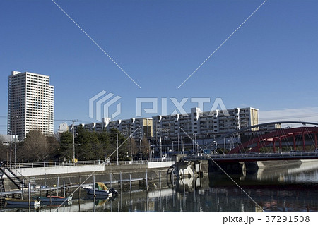 浦安市 1月 浦安市 1月 37291508