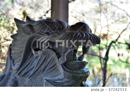 井の頭公園　銭洗い弁天 37292553