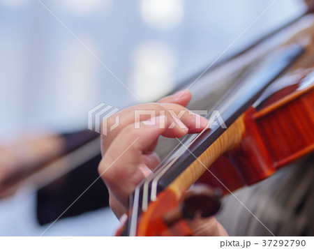 ヴァイオリン演奏 ヴァイオリン演奏 37292790