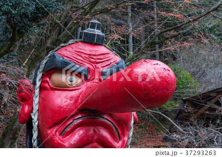 京都・鞍馬山の赤天狗 京都・鞍馬山の赤天狗 37293263