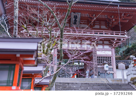 京都・鞍馬寺 37293266