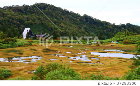 火打山　至福の高谷池テント場 37293500