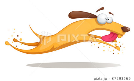 Funnu, cute, crazy yellow dog. Funnu, cute, crazy yellow dog. 37293569