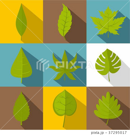 Green leaf icon set, flat style 37295017