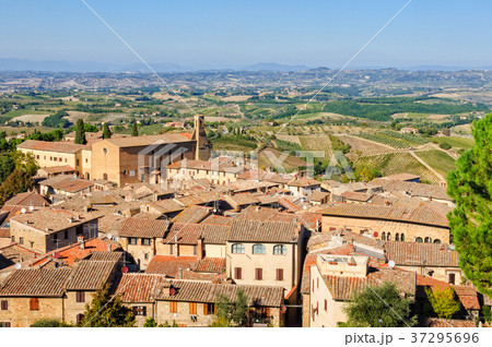 View from La Rocca - San Gimignano 37295696