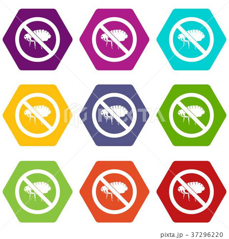 No flea sign icon set color hexahedron 37296220