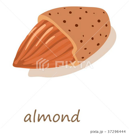 Almond icon, isometric 3d style 37296444