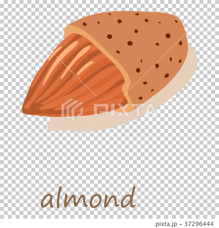 Almond icon, isometric 3d style 37296444