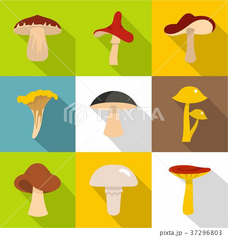 Edible mushrooms icon set, flat style 37296803