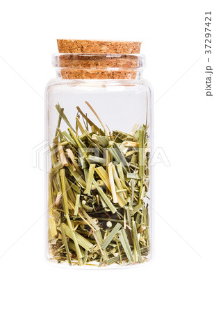 Dried Field Horsetail in a bottle with cork 37297421