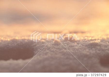 Photo background, macro snow in sunset light Photo background, macro snow in sunset light 37297429