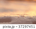 Photo background, macro snow in sunset light 37297451