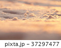 Photo background, macro snow in sunset light 37297477