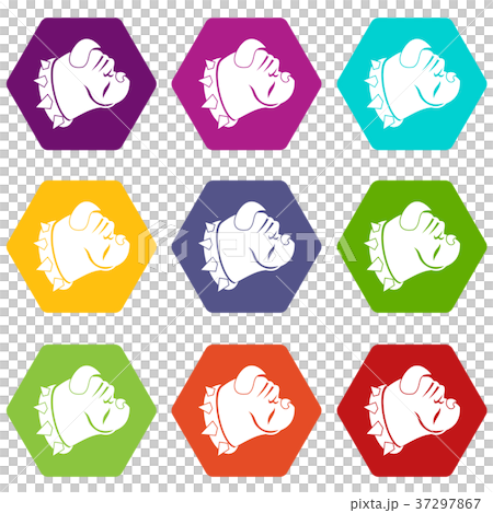 Bulldog dog icon set color hexahedron 37297867