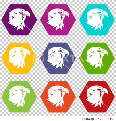Eagle icon set color hexahedron 37298210