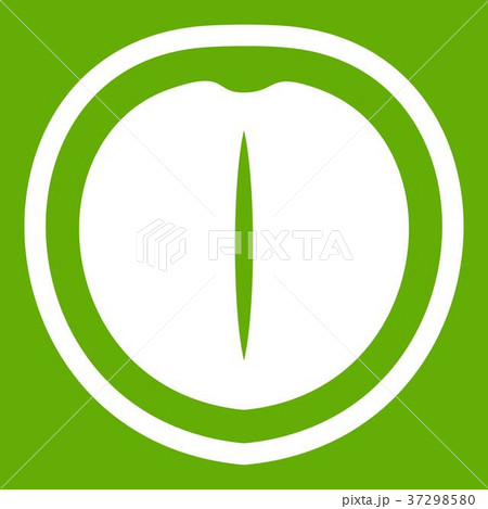 Macadamia nut icon green 37298580