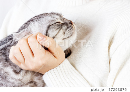 Happy kitten likes being stroked by woman hand Happy kitten likes being stroked by woman hand 37298876