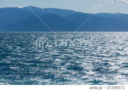 海 37299571