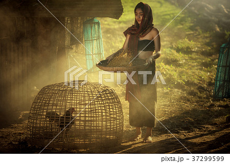 Thailand Women working in farm 37299599
